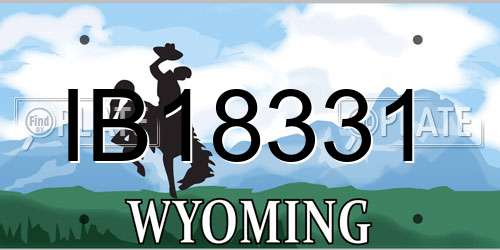 IB18331 Wyoming License Plate