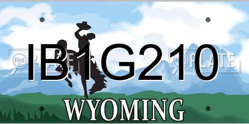 IB1G210 Wyoming License Plate