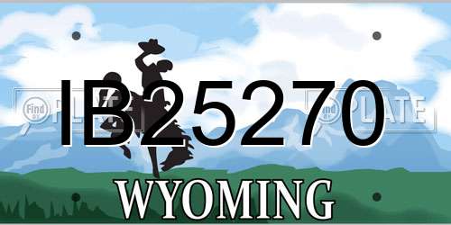 IB25270 Wyoming License Plate