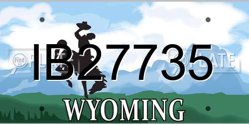 IB27735 Wyoming License Plate