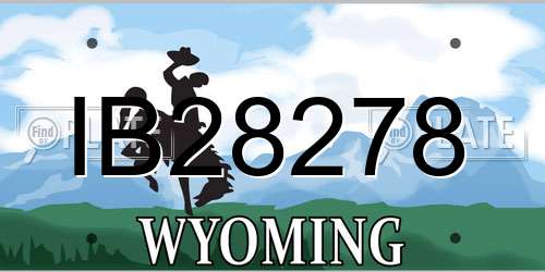 IB28278 Wyoming License Plate