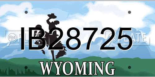 IB28725 Wyoming License Plate