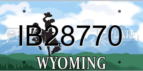 IB28770 Wyoming License Plate
