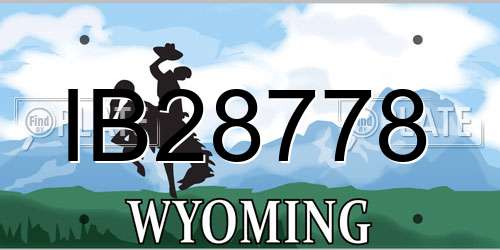 IB28778 Wyoming License Plate