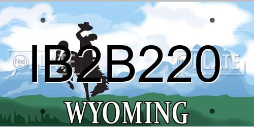 IB2B220 Wyoming License Plate