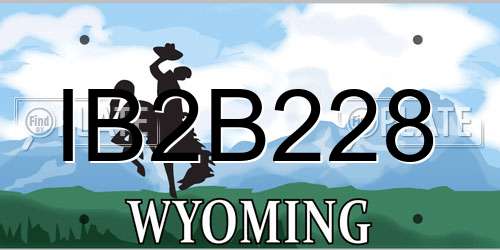 IB2B228 Wyoming License Plate