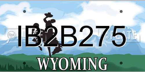 IB2B275 Wyoming License Plate