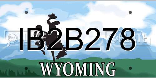 IB2B278 Wyoming License Plate