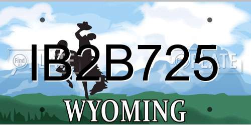 IB2B725 Wyoming License Plate