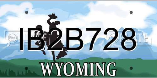 IB2B728 Wyoming License Plate