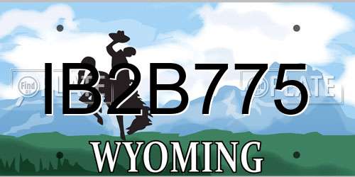 IB2B775 Wyoming License Plate