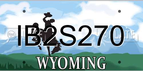 IB2S270 Wyoming License Plate