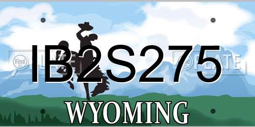 IB2S275 Wyoming License Plate