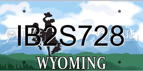 IB2S728 Wyoming License Plate