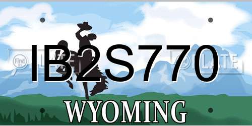 IB2S770 Wyoming License Plate