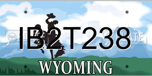 IB2T238 Wyoming License Plate