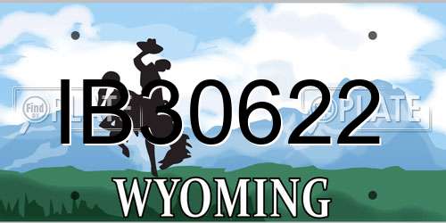 IB30622 Wyoming License Plate