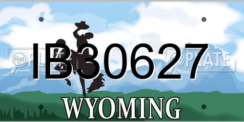 IB30627 Wyoming License Plate