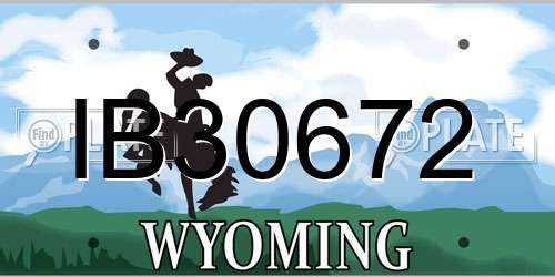 IB30672 Wyoming License Plate