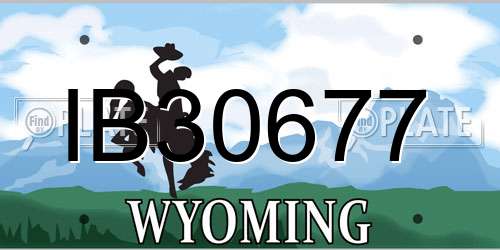 IB30677 Wyoming License Plate