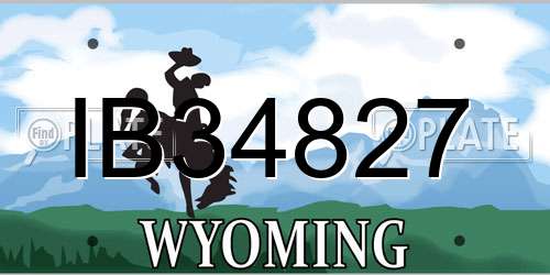 IB34827 Wyoming License Plate
