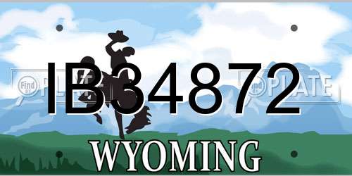 IB34872 Wyoming License Plate