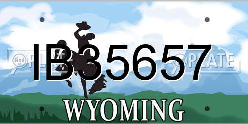 IB35657 Wyoming License Plate