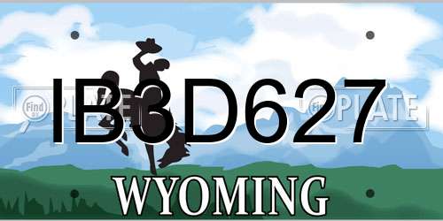 IB3D627 Wyoming License Plate