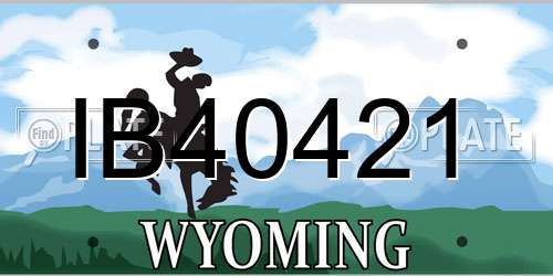 IB40421 Wyoming License Plate