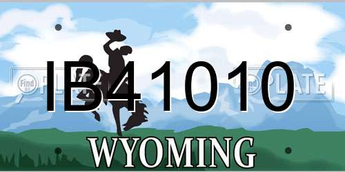 IB41010 Wyoming License Plate