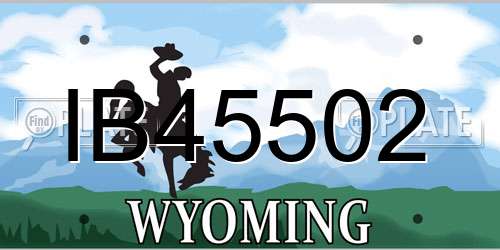 IB45502 Wyoming License Plate