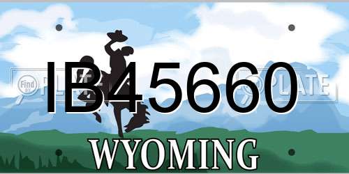 IB45660 Wyoming License Plate