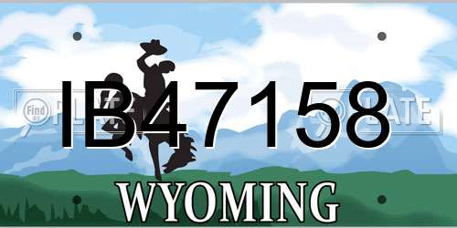 IB47158 Wyoming License Plate