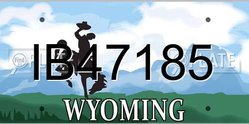 IB47185 Wyoming License Plate