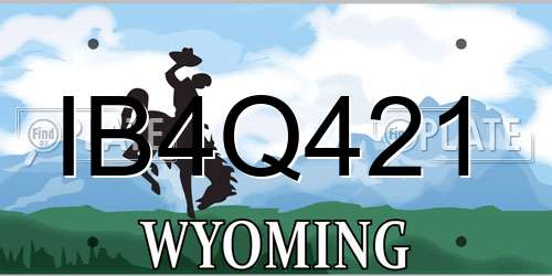 IB4Q421 Wyoming License Plate
