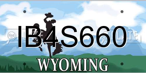IB4S660 Wyoming License Plate