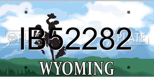 IB52282 Wyoming License Plate