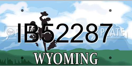 IB52287 Wyoming License Plate