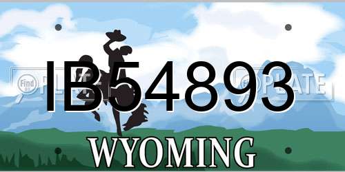 IB54893 Wyoming License Plate