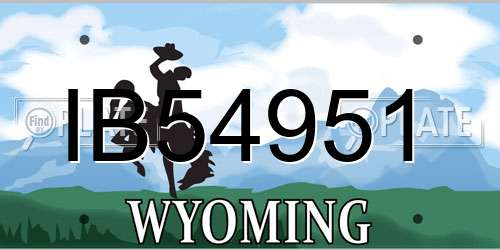 IB54951 Wyoming License Plate