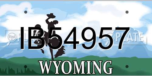 IB54957 Wyoming License Plate