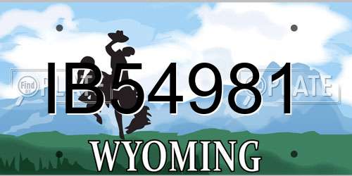IB54981 Wyoming License Plate
