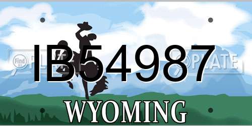 IB54987 Wyoming License Plate