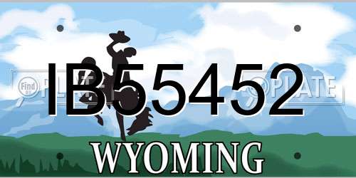IB55452 Wyoming License Plate