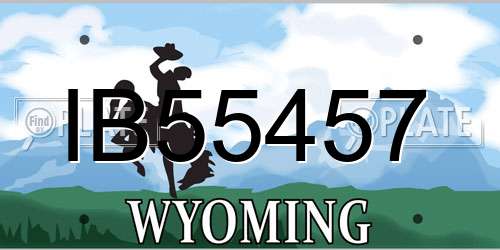 IB55457 Wyoming License Plate