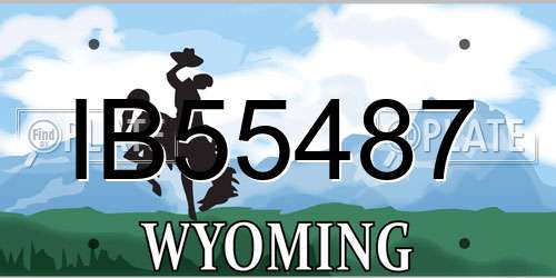 IB55487 Wyoming License Plate