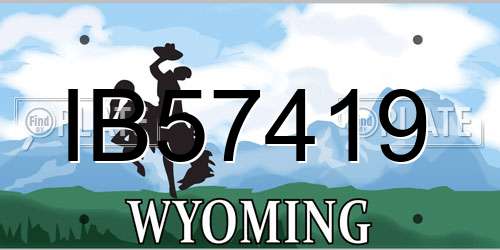 IB57419 Wyoming License Plate