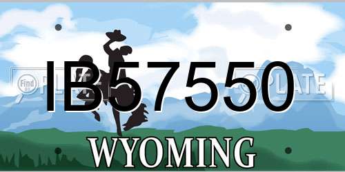 IB57550 Wyoming License Plate