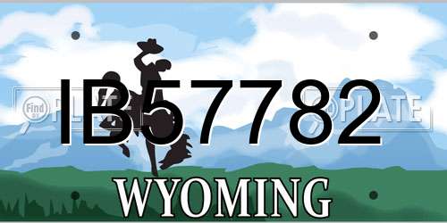 IB57782 Wyoming License Plate