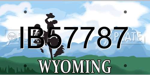 IB57787 Wyoming License Plate